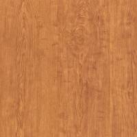 FOR-7738-58.jpg