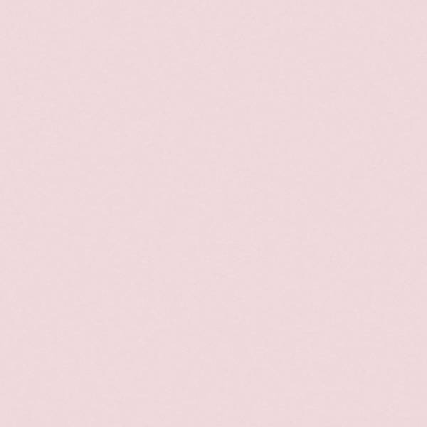 FOR-8858-90.jpg