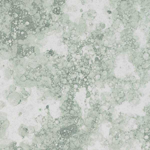FOR-8957-58.jpg