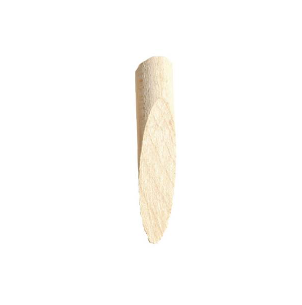 P-PIN.jpg
